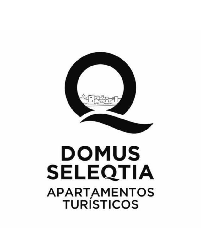 Domus Seleqtia Plaza De Santiago * Caceres